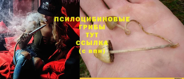 прущие грибы Покачи