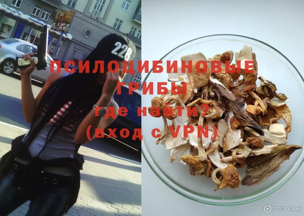 прущие грибы Покачи
