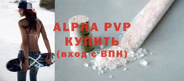 прущие грибы Покачи