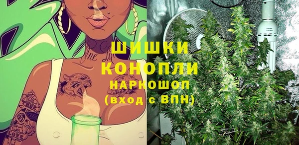 прущие грибы Покачи