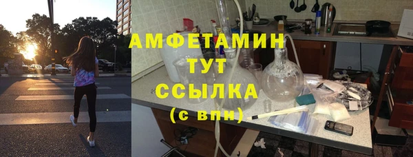 прущие грибы Покачи