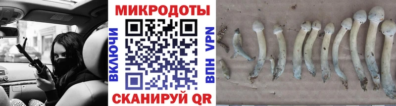 Галлюциногенные грибы GOLDEN TEACHER  Чишмы 